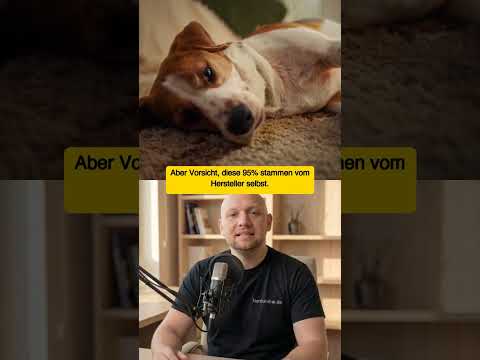 pettychat-haustier-ki